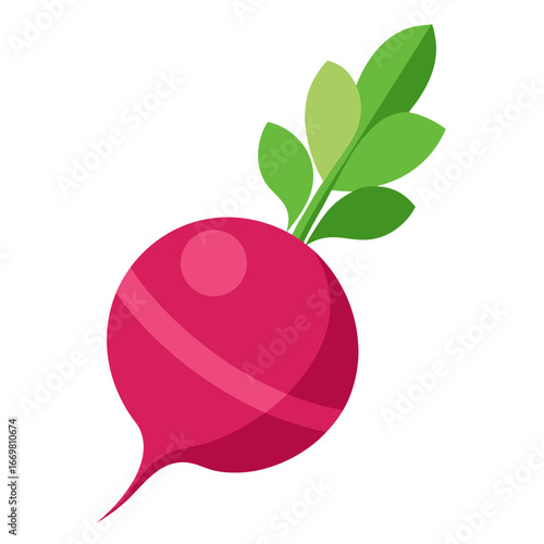 Minimal clean design of a colorful radish illustration