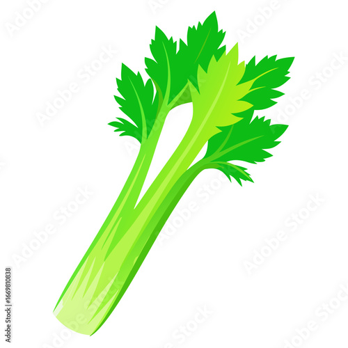 Simple neat color vector illustration of a celery stalk