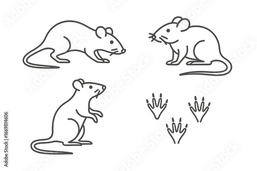 Various sketches of mice and their footprints illustrating different poses and characteristics in a minimalist style