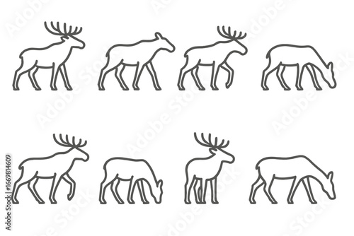 Illustration of various deer species walking and grazing in different postures in a minimalist style
