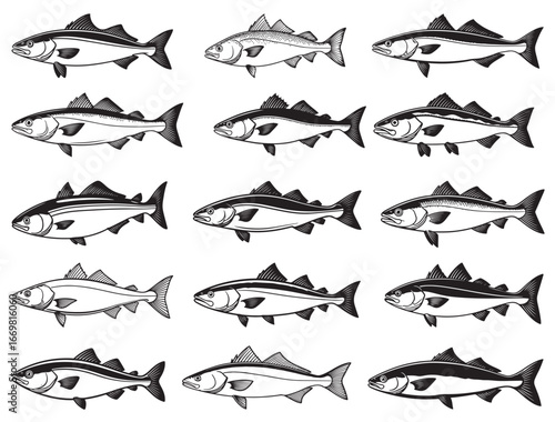 ALASKA POLLOCK FISH SILHOUETTE