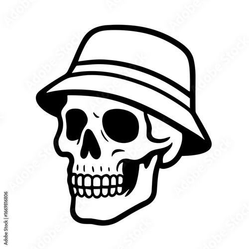 Human Skull illustration