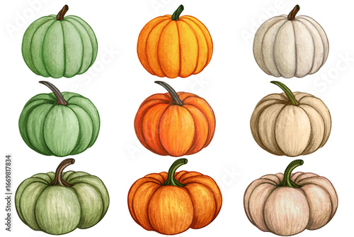 Watercolor hand drawn pumpkins