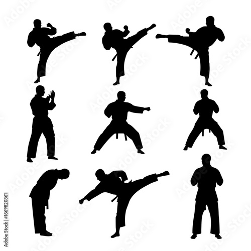 Martial Arts Silhouettes in Dynamic Kickboxing and Karate Stances for Fitness and Training
