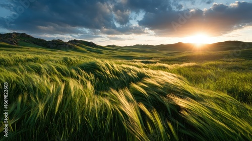 A breathtaking view of golden fields swaying in the wind, illuminated by the warm glow of a sunset, evoking feelings of freedom, warmth, and the beauty of nature's transitions.