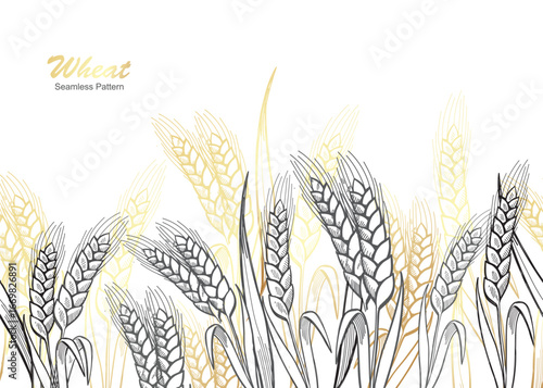 Horizontal seamless border with hand drawn spikelets of wheat, barley vector illustration Ears of wheat sketch style or decoration, packaging design of bakery in black, white, gold.