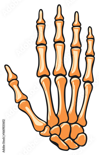 Illustration of a Cartoonish Orange Skeleton Hand for Halloween or Medical Education