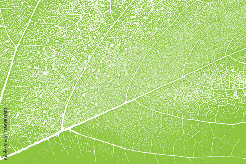 nature's intricate green texture, close-up of a leaf's veins, vibrant botanical pattern background