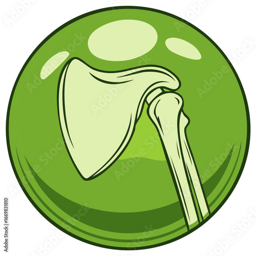 Cartoon Green Medical Icon of Human Shoulder Joint Anatomy and Structure
