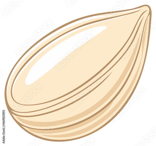 Cartoon illustration of a single white hulled sunflower seed kernel with stripes graphic icon for snack food design