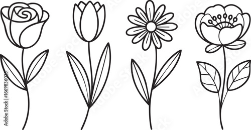 Line art flowers rose tulip daisy and anemone blossoms