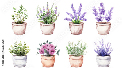 Title: Beautiful Set of Watercolor Vintage Flower Pot with Colorful Bouquet Illustration Isolated on White Background