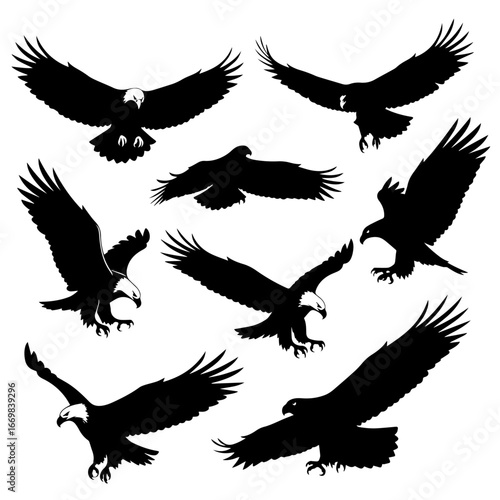 Silhouettes of Birds in Flight Forming Artful Patterns
