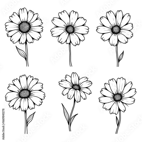 Flowers coloring page	