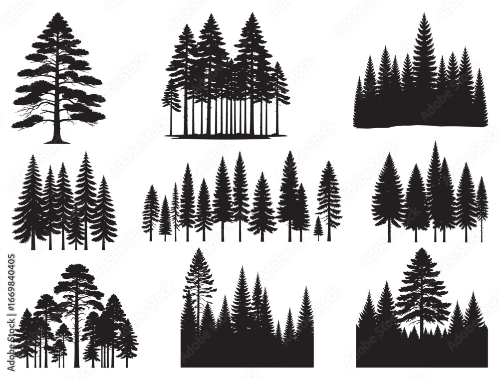 Obraz premium TREES SILHOUETTE