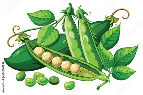 Vibrant Green Pea Pods and Leaves Still Life Fresh Vegetable Art Illustration Delicious Edible Ingredient Healthy Food