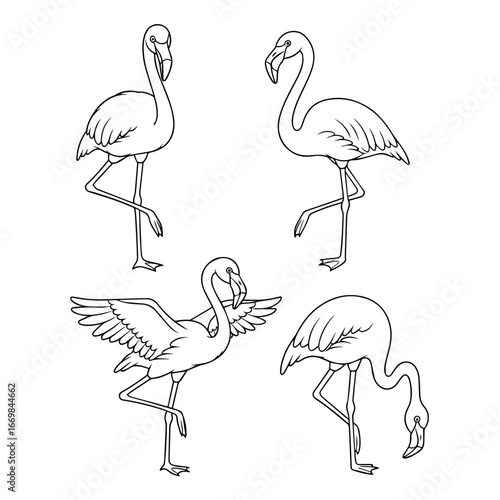 Set Hand-Drawn Flamingo Outlines in Various Unique Poses

