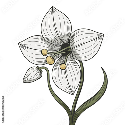 Blue Flower with Yellow Center on White Background, Generative AI 