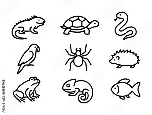Black line art of various animals: iguana, turtle, snake, parrot, spider, hedgehog, frog, chameleon, fish