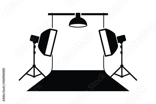 Professional photography studio setup with softbox lights and backdrop for creative shoots