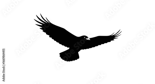 A majestic black silhouette of a powerful eagle or hawk soars through the sky, symbolizing freedom, strength, and nature's untamed spirit.