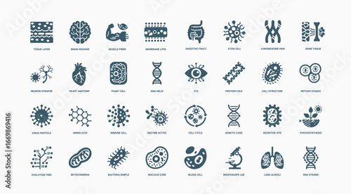 collection biology science icons biological structures processes concepts