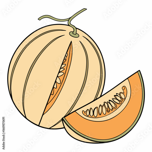 Cantaloupe melon with a slice cut out showing seeds and flesh on a white background fruit whole