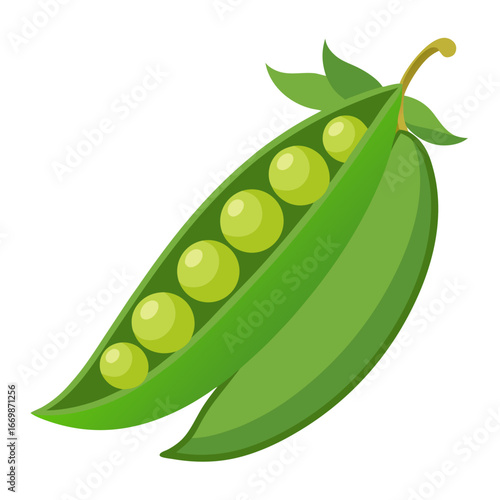 Green pea pod with six round peas and leaves on white background vegetable food