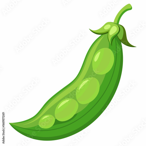 Green pea pod with visible peas and stem on white background green bean vegetable