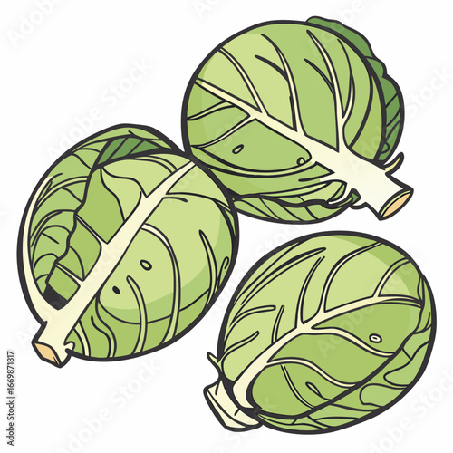 Three green brussel sprouts with light green centers and thick black outlines on a white background cabbage