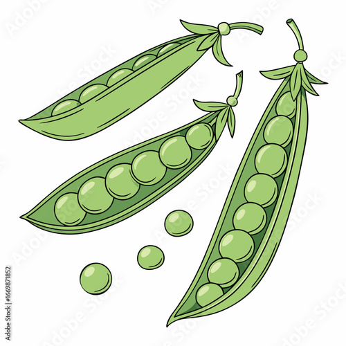 Three green pea pods with loose peas on a white background vegetable