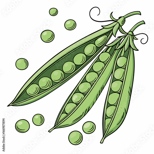 Three open pea pods with green peas and scattered peas on a white background fresh vegetable