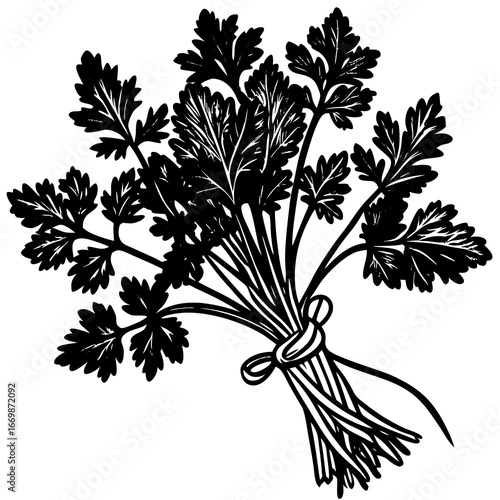 Black and white illustration of a bunch of parsley tied with string herb