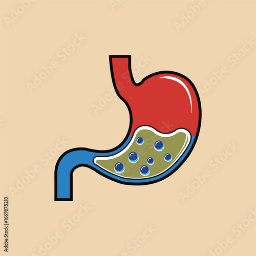 Human Stomach Acid Illustration – Digestion and Gastric Reflux Medical Concept Vector