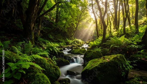Lush Forest Stream with Sunlight and Green Vegetation.