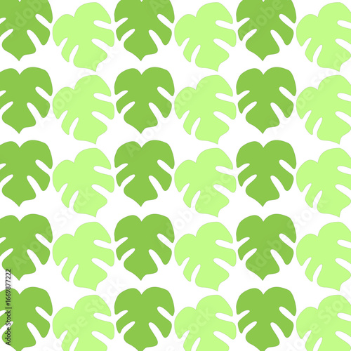 MONSTERA LEAVES EXOTIC DESIGN PATTERN TEXTURE BACKGROUND