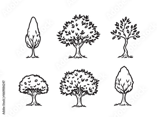 Olive Tree Minimal Outline Drawing Illustration