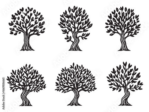 Olive Tree Minimal Outline Drawing Illustration