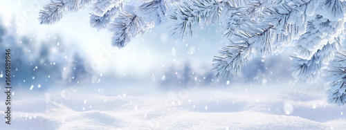 Winter natural snow background. Snowy forest with snowdrifts and snow-covered spruce branches in snowfall. Ultra wide format panorama.