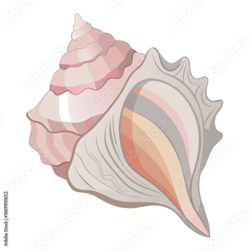 Isolated seashell vector illustration with a spiral shape, perfect for a tropical summer decoration