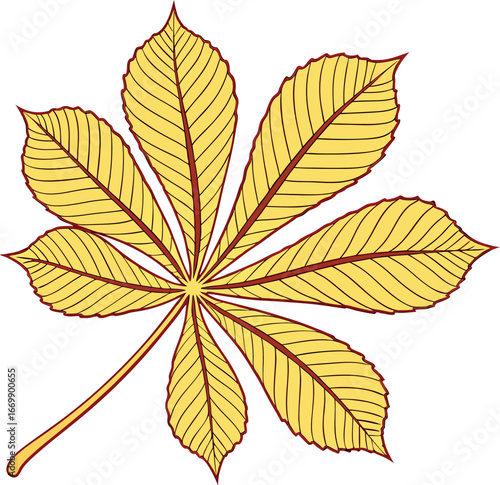 Vector art of yellow horse chestnut leaf with veins