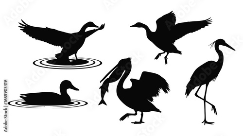 Silhouette of various waterfowl isolated on white background, including ducks, pelicans, and herons in different poses, swimming, flying, and fishing