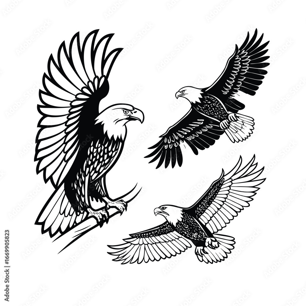 Fototapeta premium EAGLE SVG, eagle cut file, eagle silhouette, eagle dxf, eagle vector, eagle head svg, eagle cricut, eagle eps, eagle logo svg, stencil, dxf 