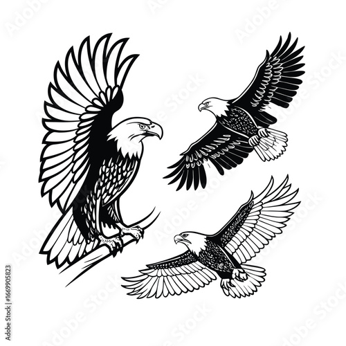 EAGLE SVG, eagle cut file, eagle silhouette, eagle dxf, eagle vector, eagle head svg, eagle cricut, eagle eps, eagle logo svg, stencil, dxf 