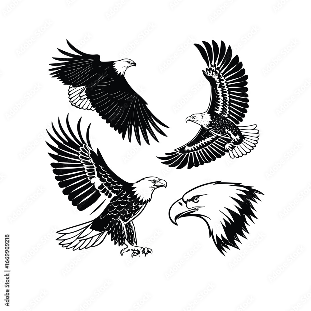 Fototapeta premium EAGLE SVG, eagle cut file, eagle silhouette, eagle dxf, eagle vector, eagle head svg, eagle cricut, eagle eps, eagle logo svg, stencil, dxf 