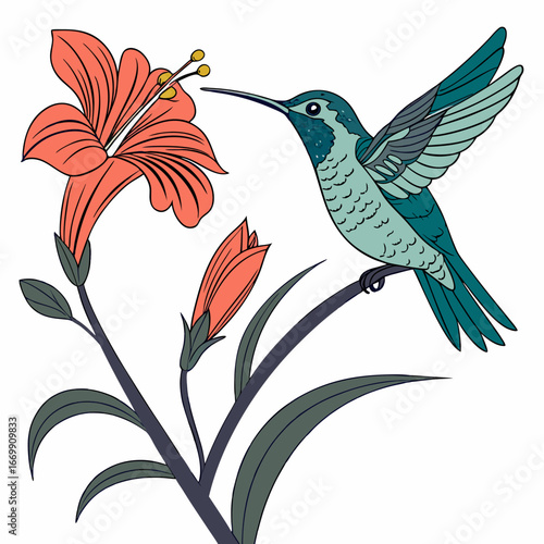 Hummingbird feeding on a coral hibiscus flower with buds and leaves vector illustration