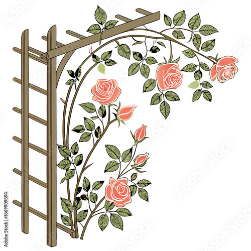 Illustration of a wooden garden trellis covered in climbing roses with green leaves and pink flowers