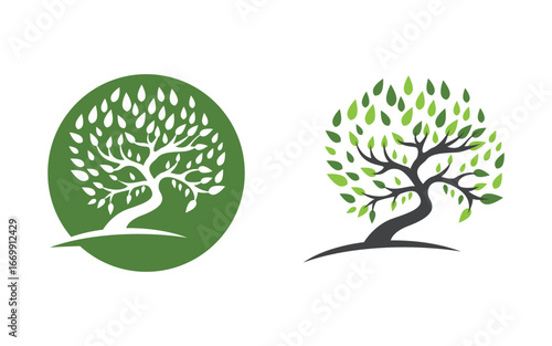 Tree leaf ecology nature  Healthy vegan concept element v4.31