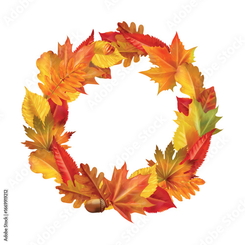 Autumn leaves wreath. Realistic fall leaf round frame, orange foliage nature ring maple oak leafs circle forest garland thanksgiving decoration 3d vector illustration