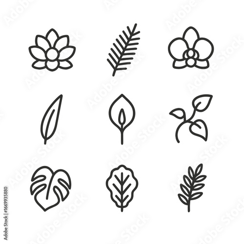 Indoor Plant Icons. Outline icon set of indoor plant varieties: succulent, fern frond, orchid bloom, snake plant leaf, peace lily